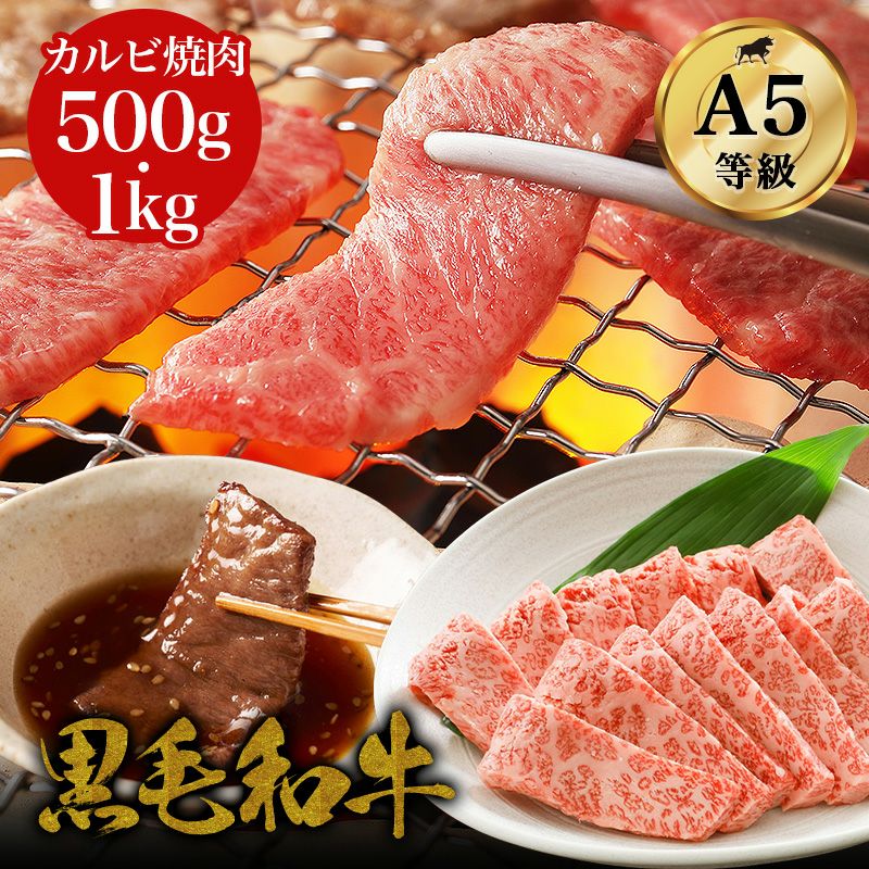 黒毛和牛 カルビ焼肉 500g】A5ランク 和牛 高級肉《部位・カタロース
